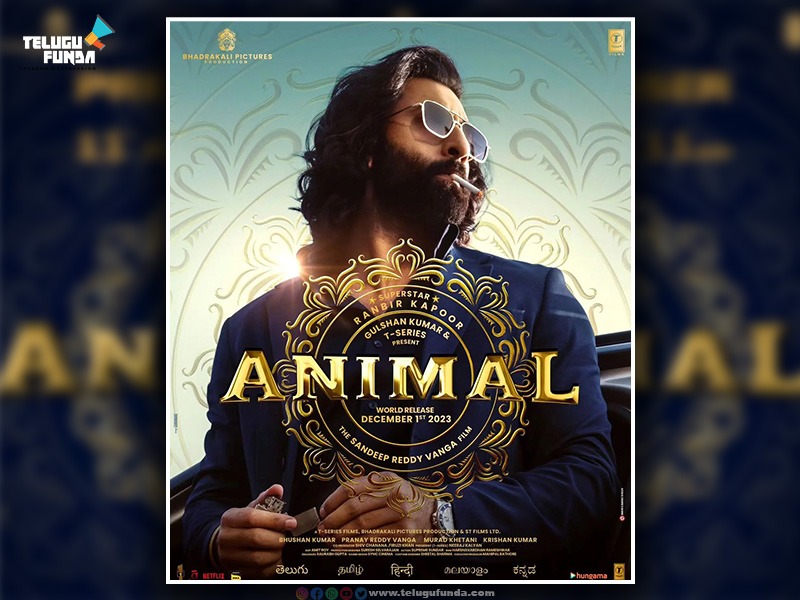 Animal Telugu Teaser Hypes Telugu Fans