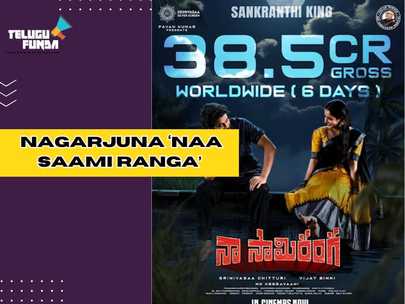 Naa Saami Ranga Box Office Collections