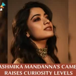 Rashmika Mandanna's Cameo in "The Family Star"!!!