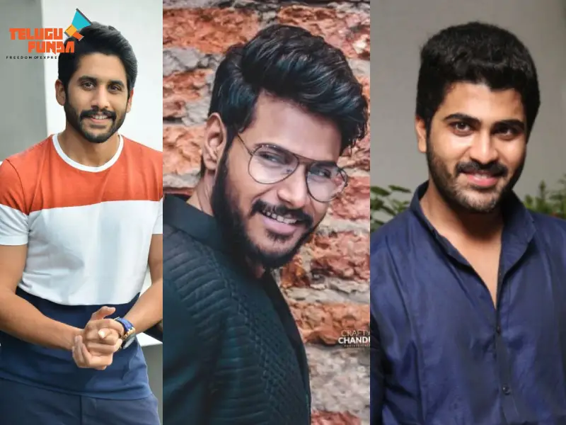 Sankranthi, Naga Chaitanya, Sundeep Kishan, Sharwanand, Telugu Movies, Festival Releases, Sankranthi Films, 2025 Movie Releases